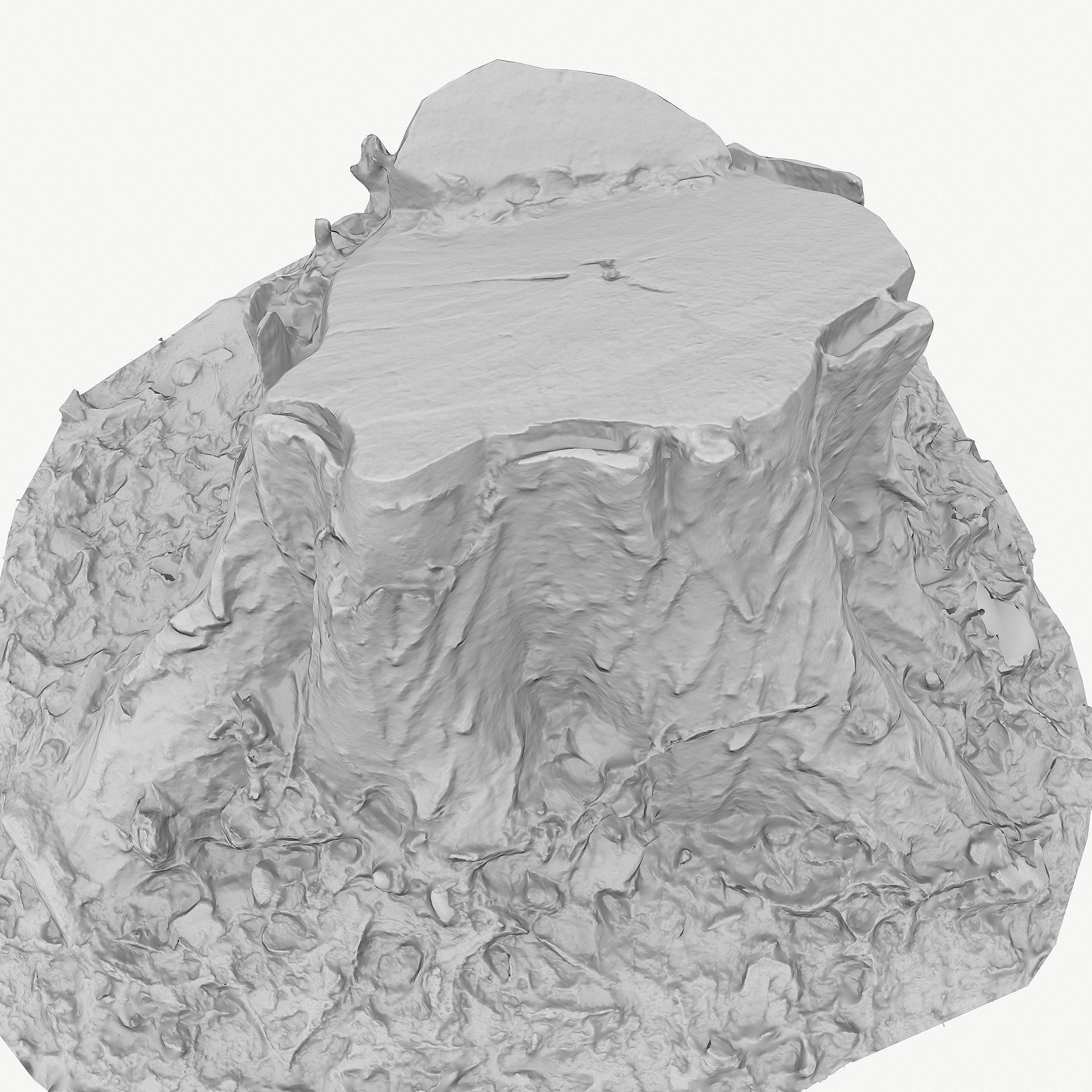 3D Scan BPR Tree Stump Collection model Low-poly 3D model_94