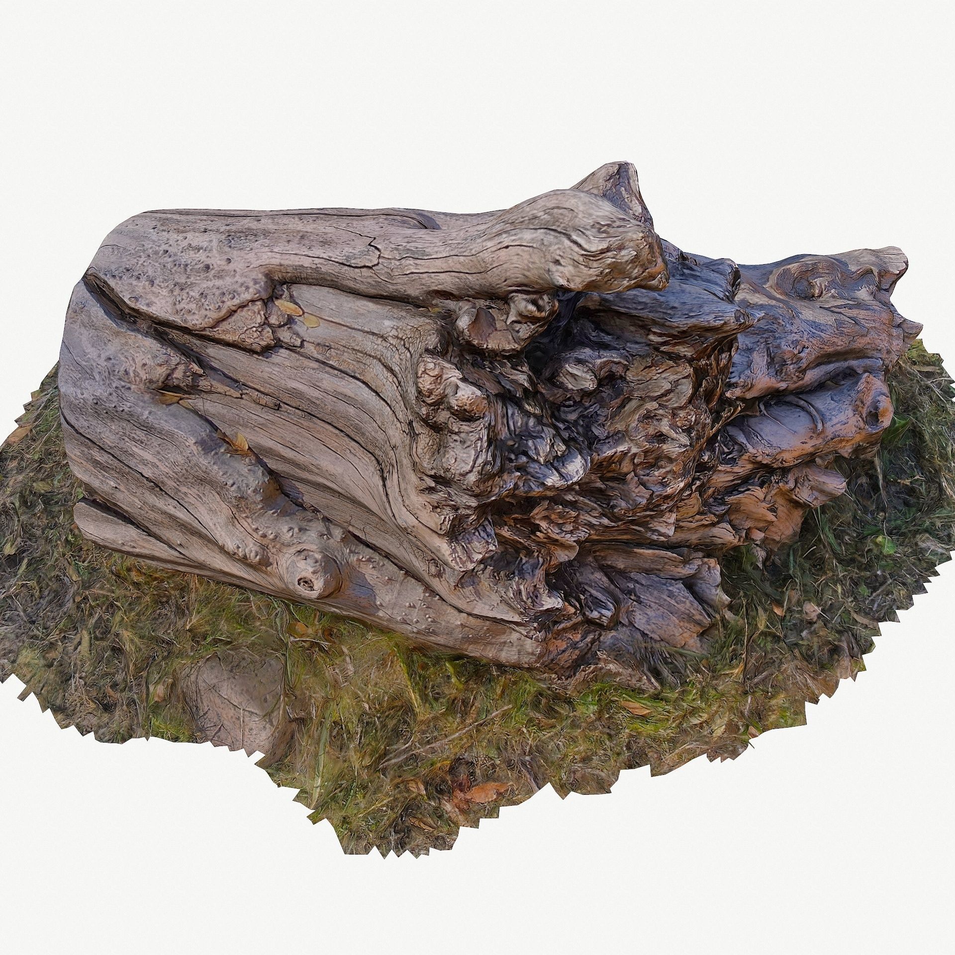3D Scan BPR Tree Stump Collection model Low-poly 3D model_63