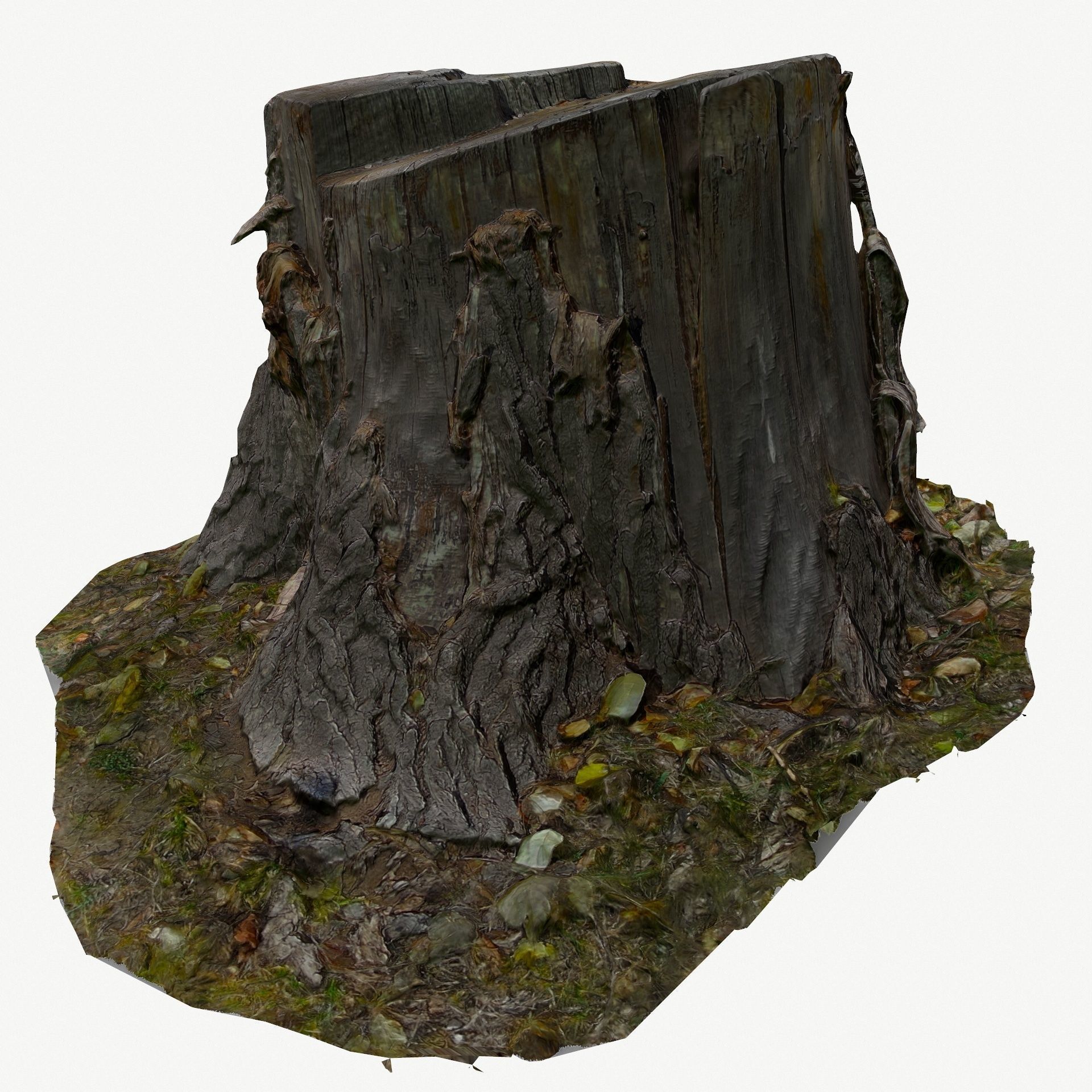 3D Scan BPR Tree Stump Collection model Low-poly 3D model_80