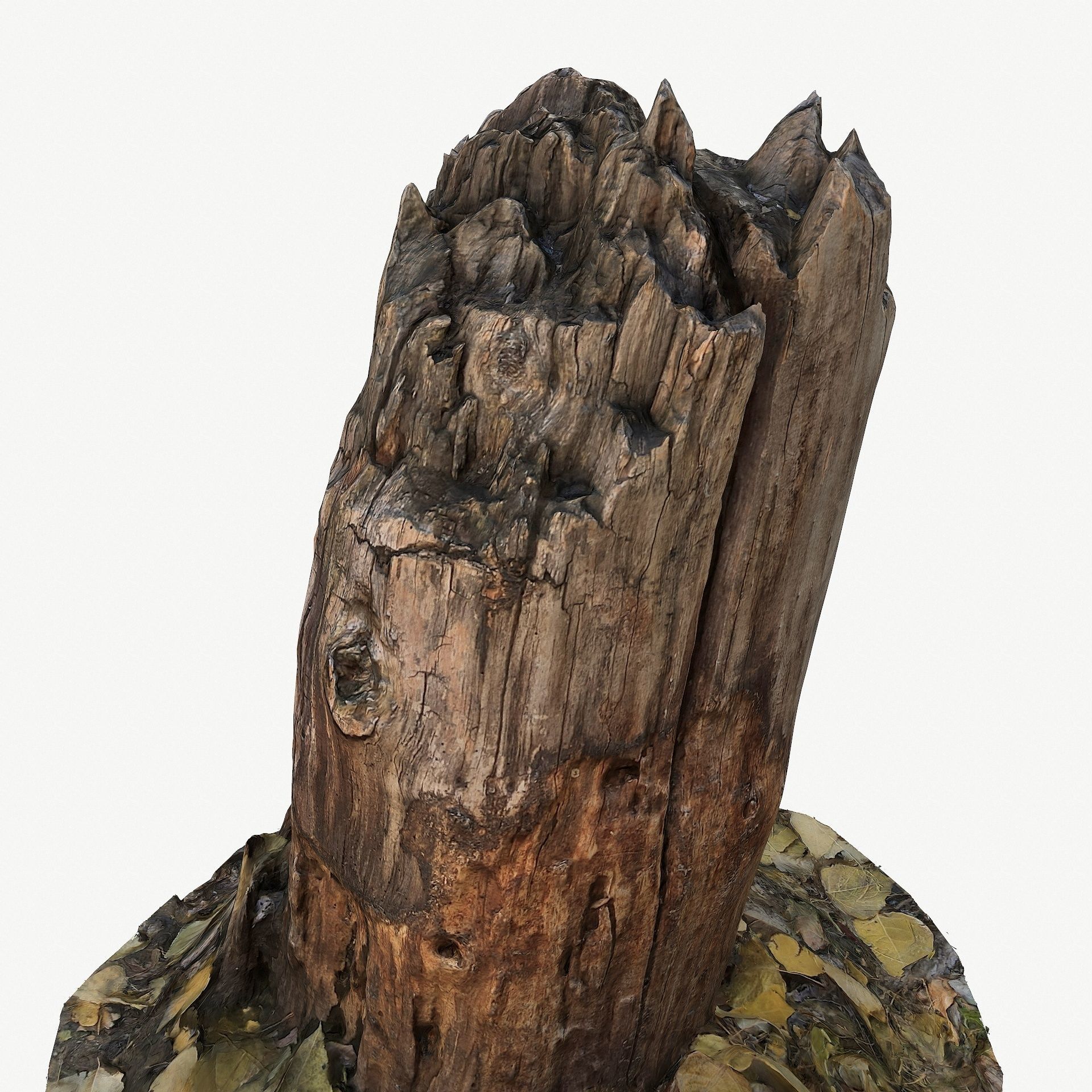 3D Scan BPR Tree Stump Collection model Low-poly 3D model_75
