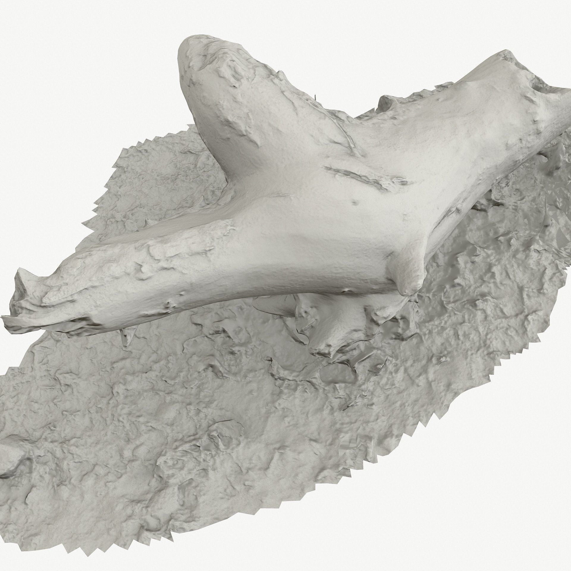 3D Scan BPR Tree Stump Collection model Low-poly 3D model_101