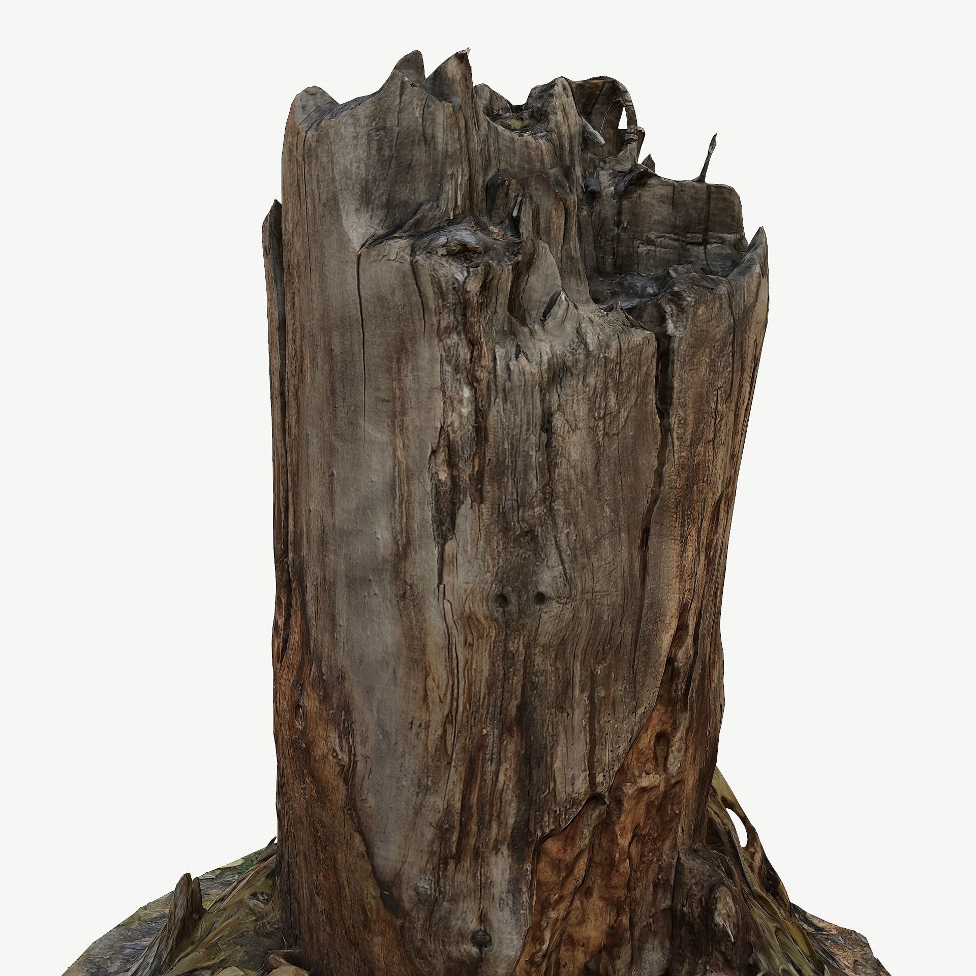 3D Scan BPR Tree Stump Collection model Low-poly 3D model_61