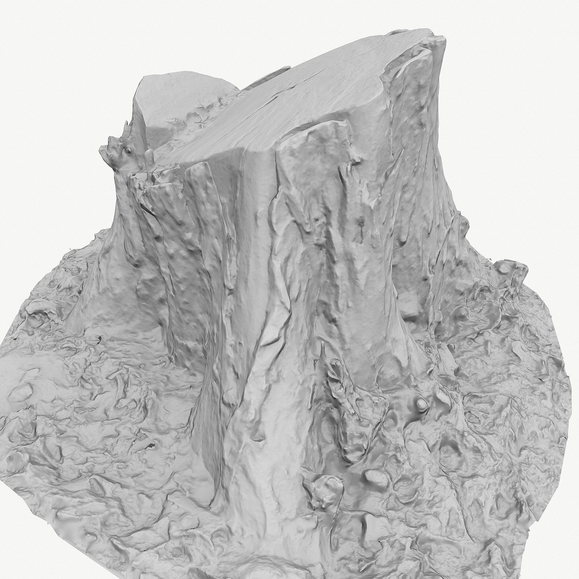3D Scan BPR Tree Stump Collection model Low-poly 3D model_86