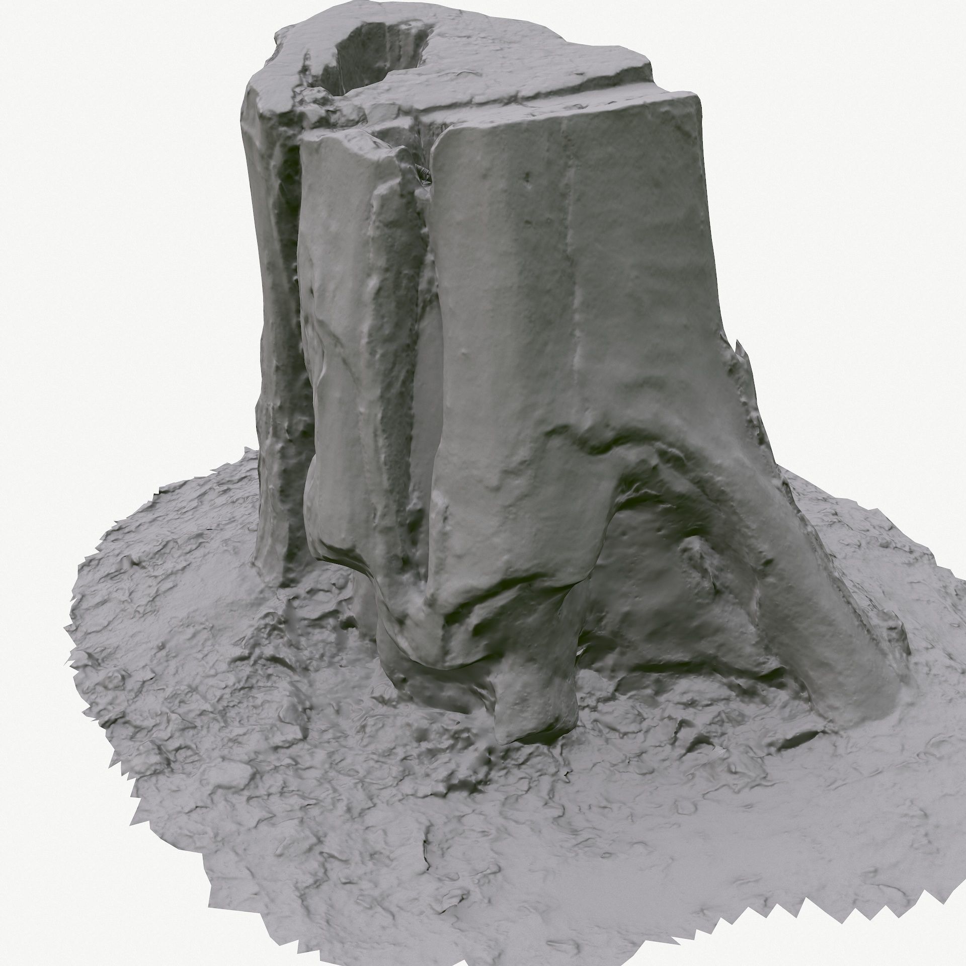 3D Scan BPR Tree Stump Collection model Low-poly 3D model_90