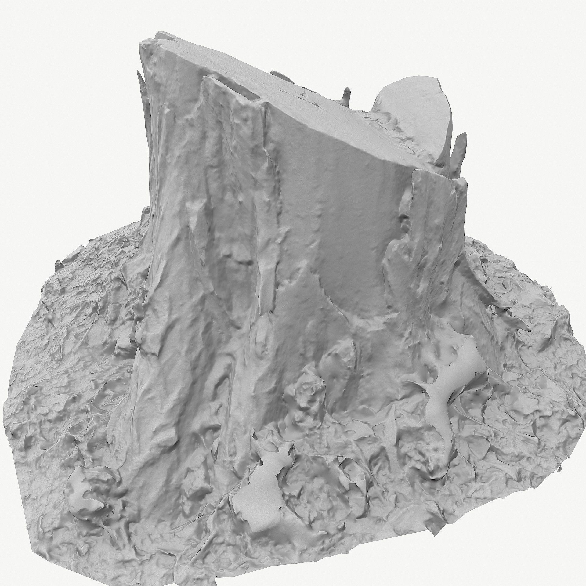 3D Scan BPR Tree Stump Collection model Low-poly 3D model_58