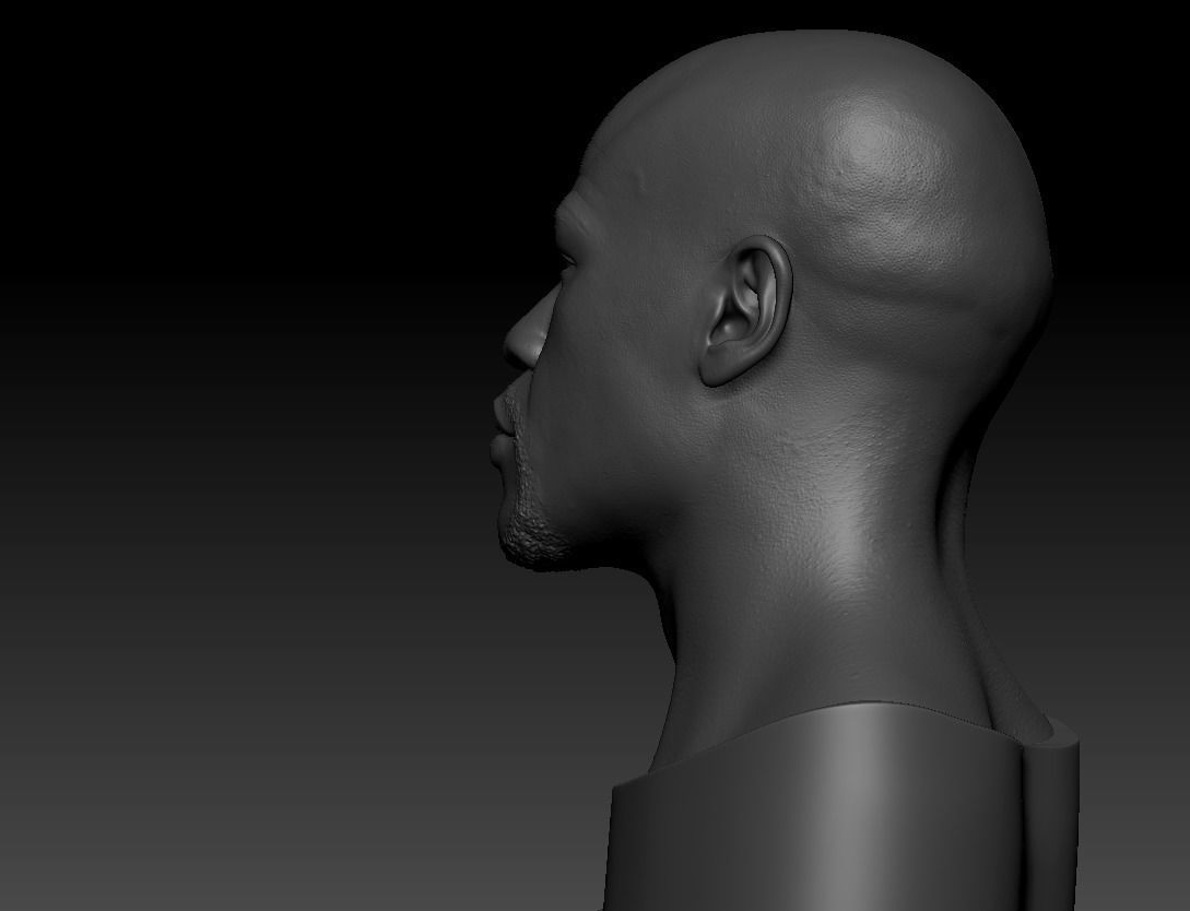 Floyd Mayweather Likeness Miniature for 3d Printing 3D print model_4