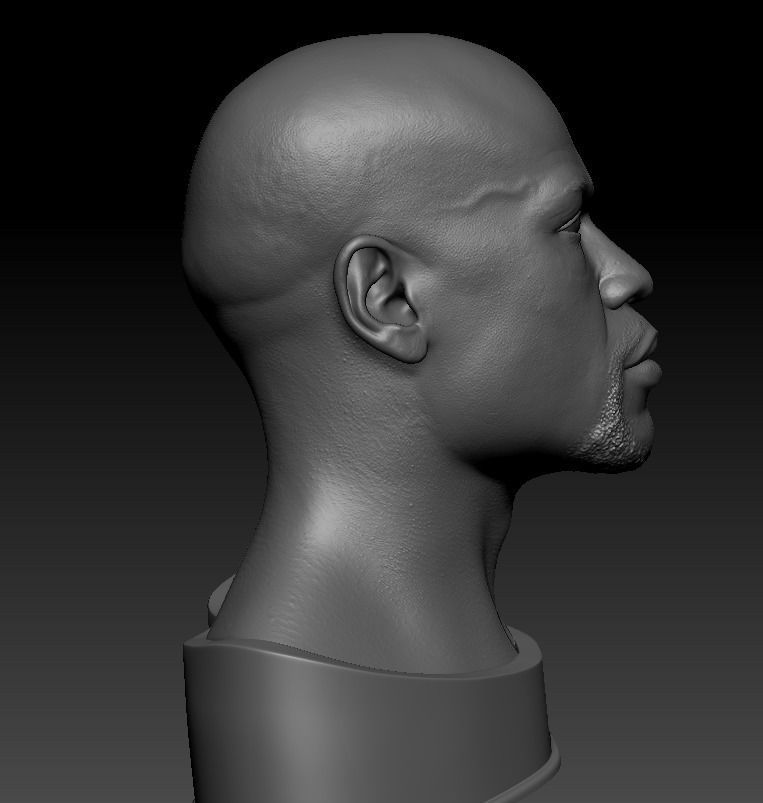 Floyd Mayweather Likeness Miniature for 3d Printing 3D print model_11