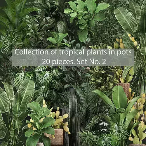 Collection of potted plants for the interior of 20 pieces set 2