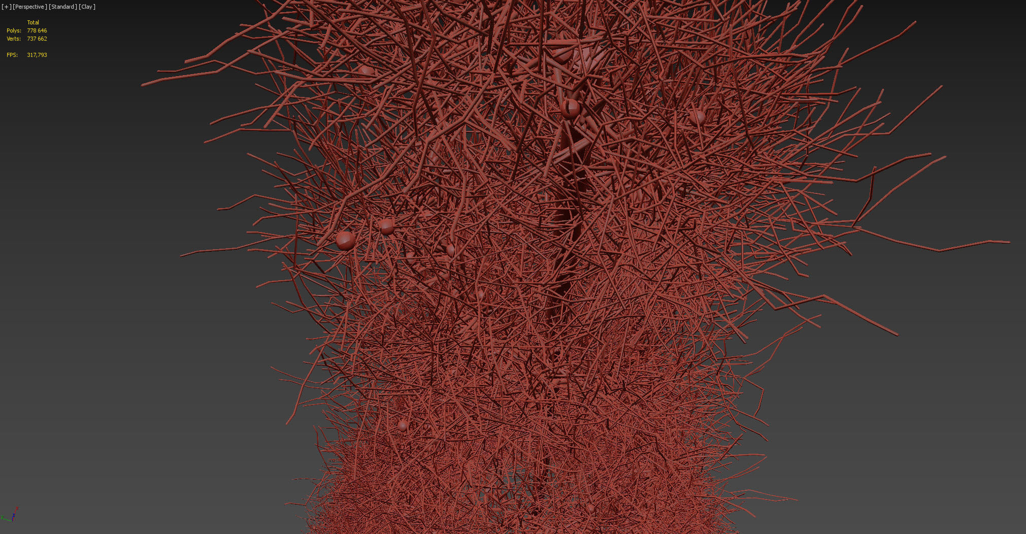 Spruce Tree 3D model_6