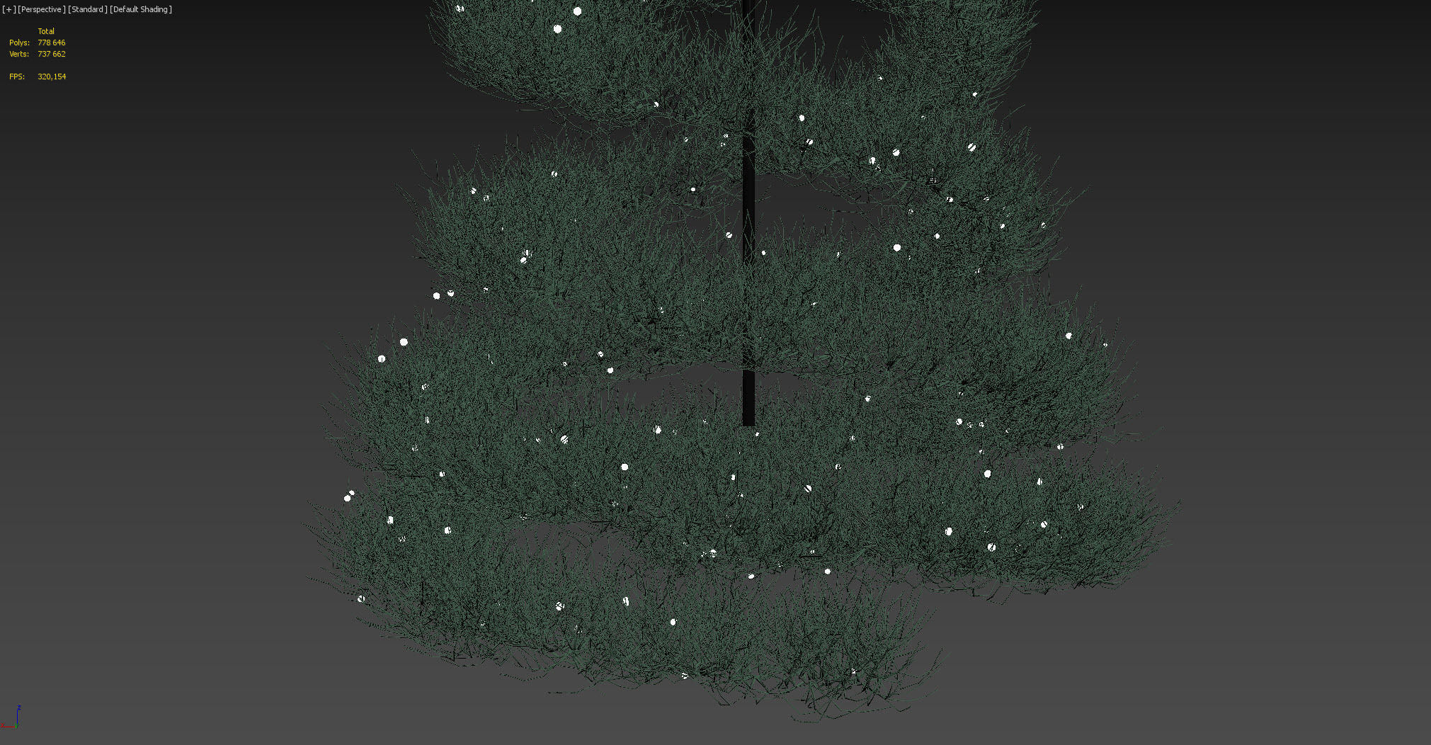 Spruce Tree 3D model_7