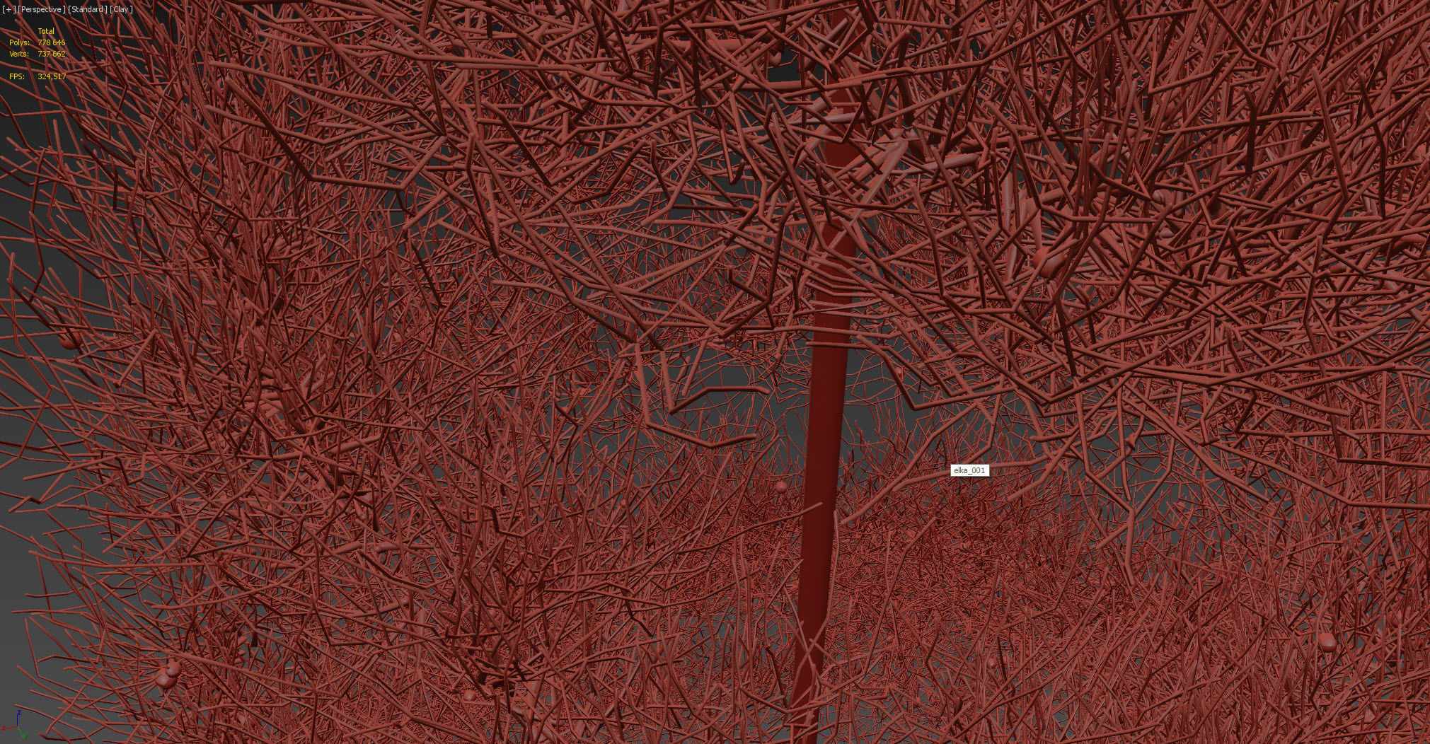 Spruce Tree 3D model_5