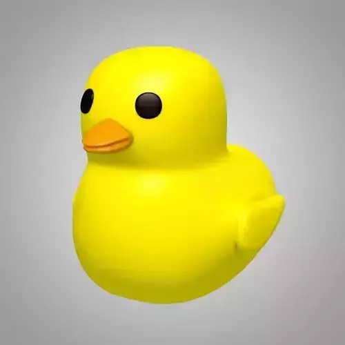 Rubber duck