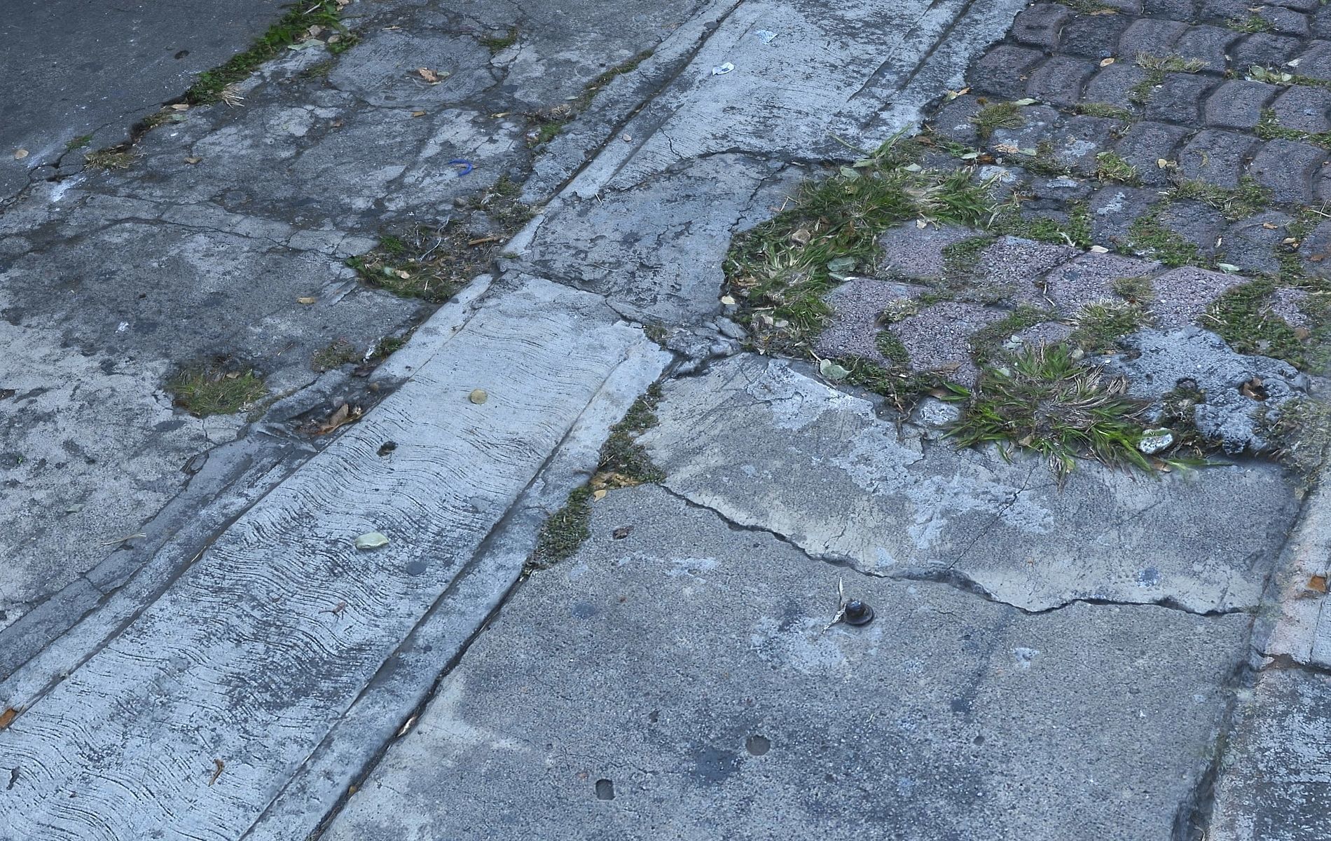 Mexico City Sidewalk  Low-poly 3D model_6