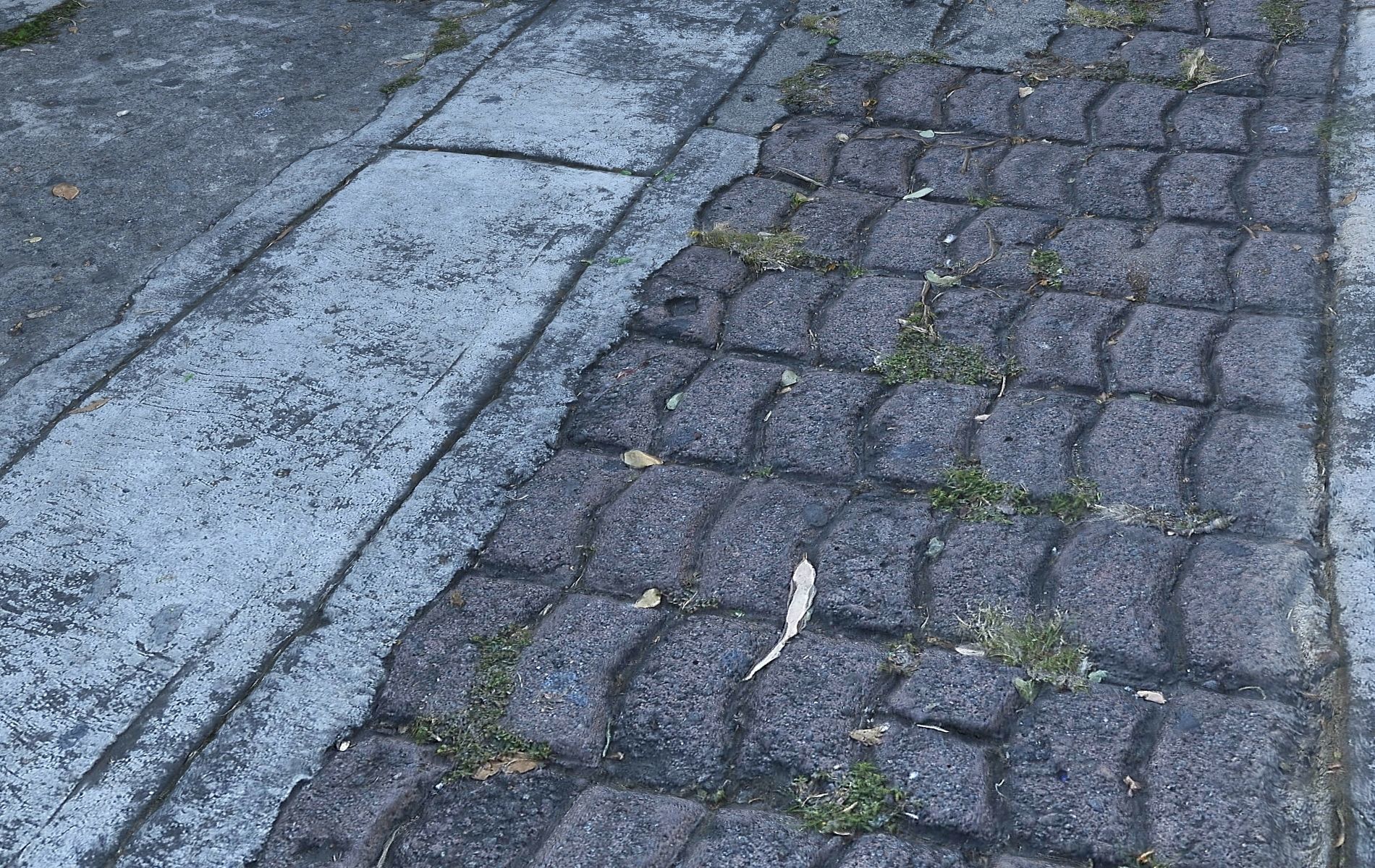 Mexico City Sidewalk  Low-poly 3D model_4