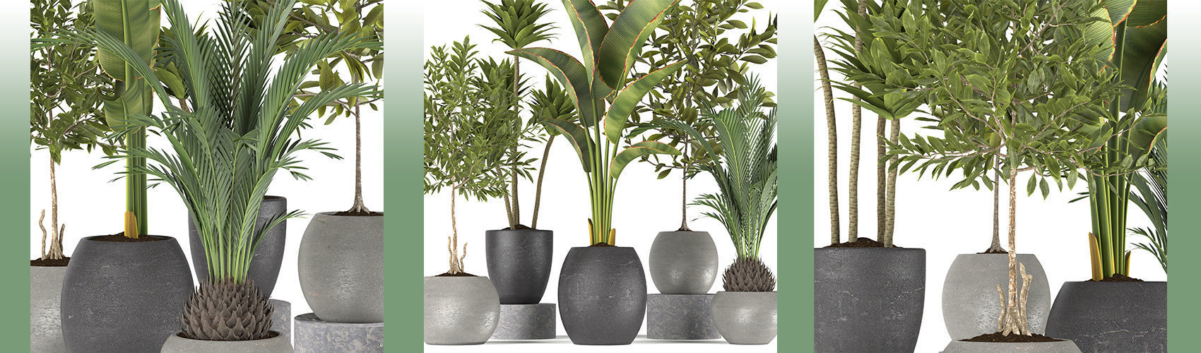 Plants collection 5 group of potted 3D model_8