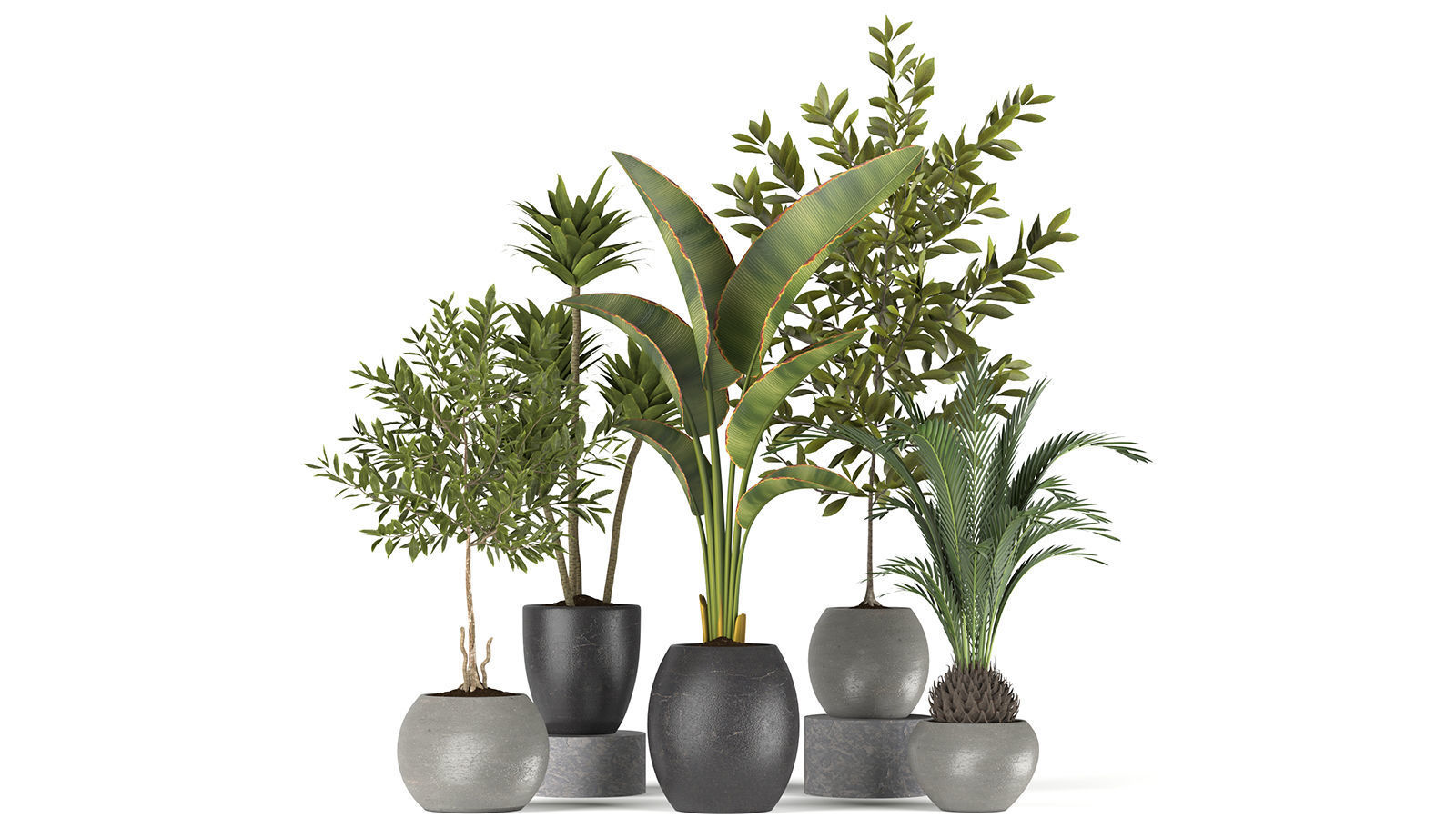 Plants collection 5 group of potted 3D model_7