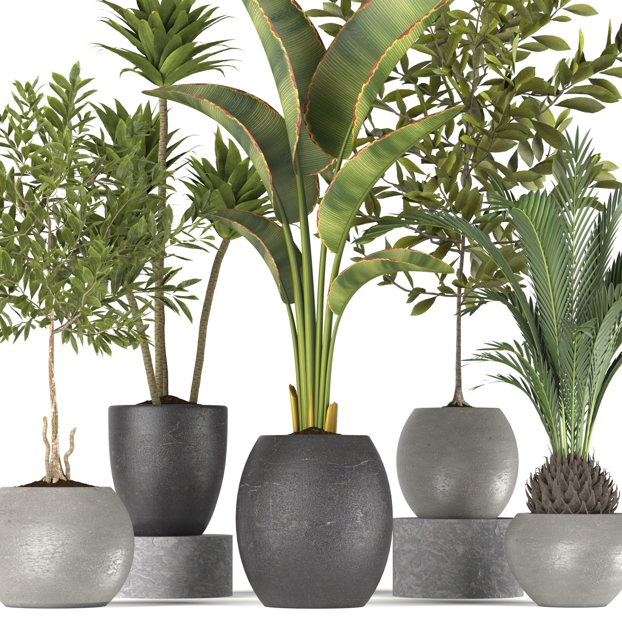Plants collection 5 group of potted 3D model_1