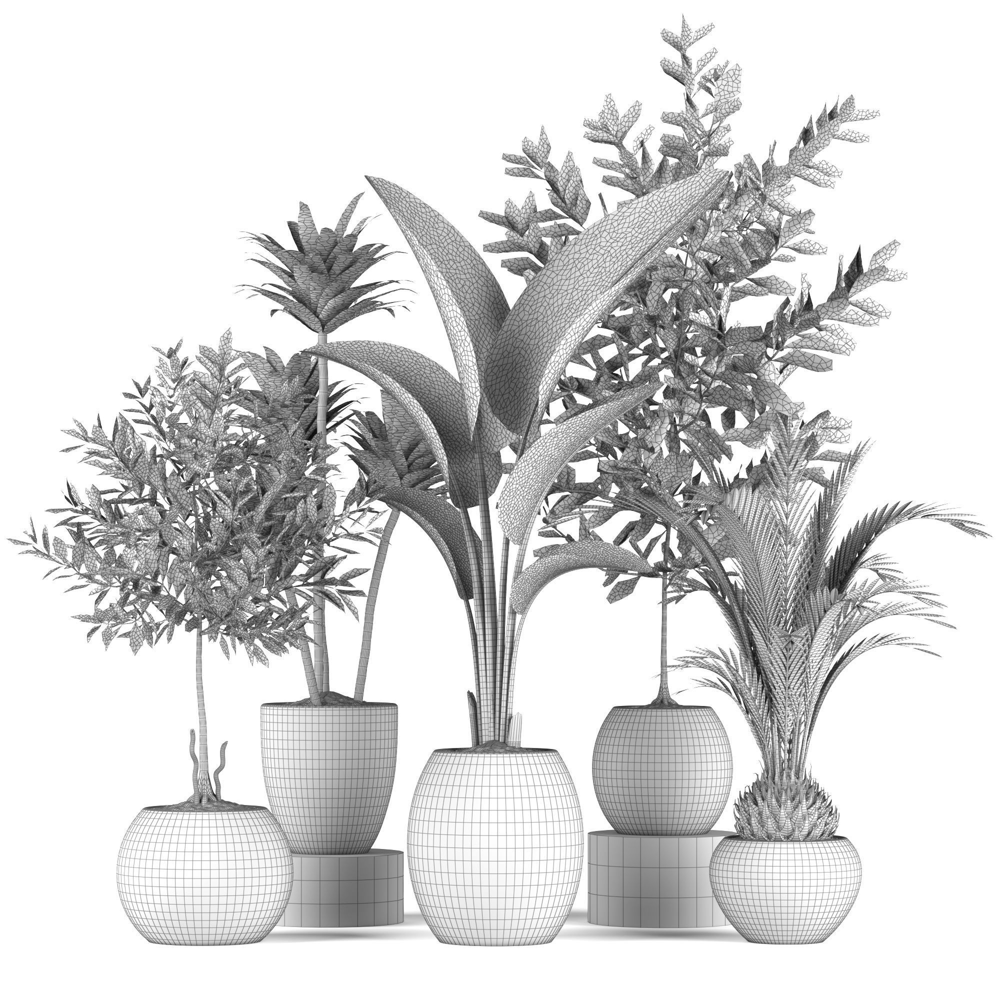 Plants collection 5 group of potted 3D model_4