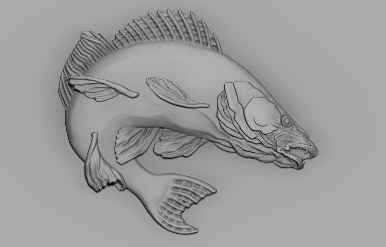 fish relief 3D print model_2