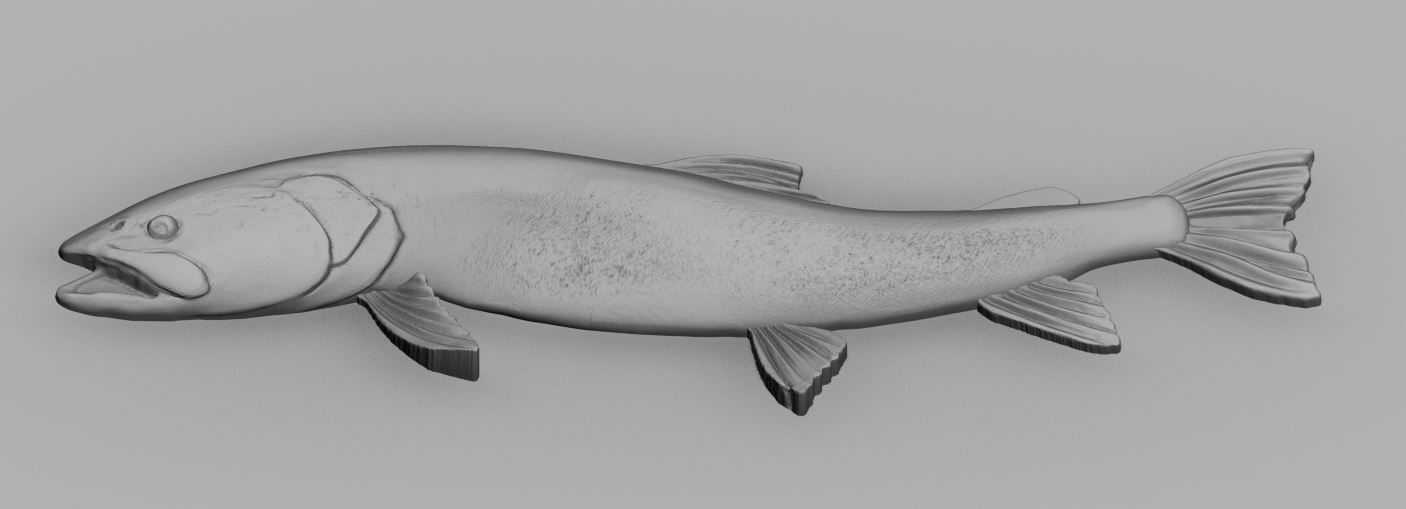 fish relief 3D print model_8
