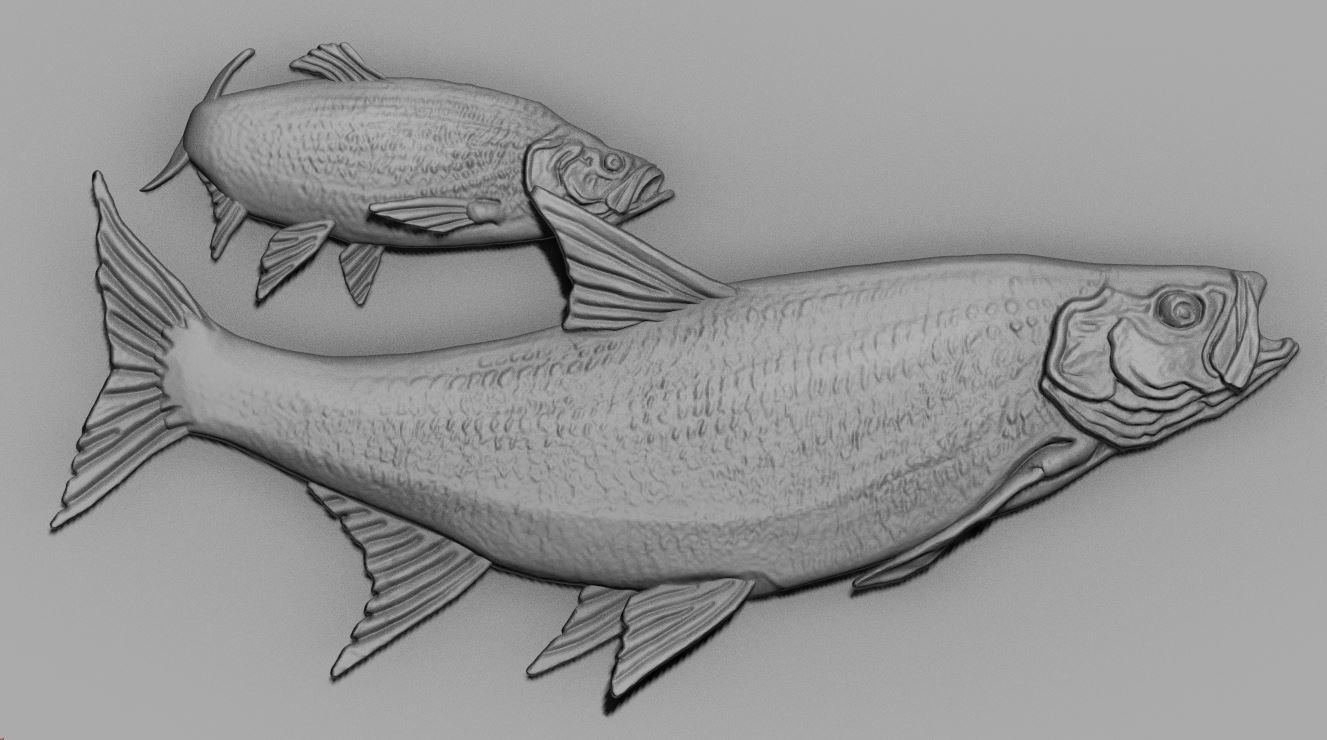 fish relief 3D print model_16