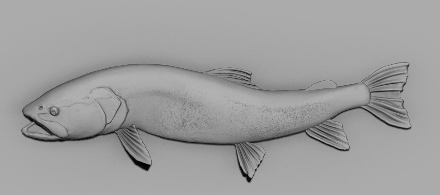 fish relief 3D print model_9