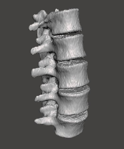 Lumbar Spine - male 3D model