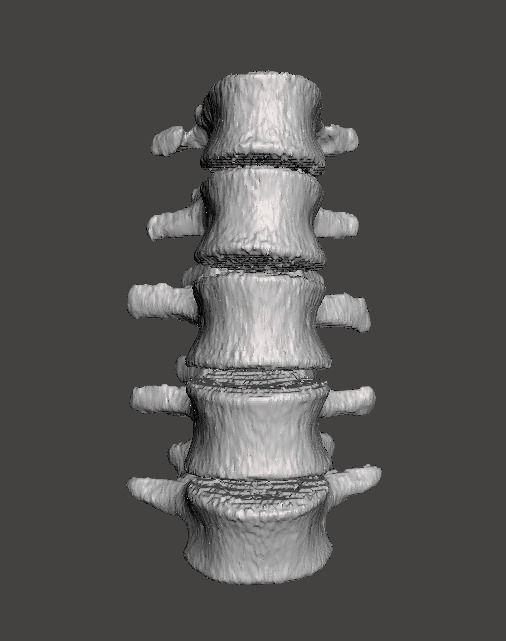 Lumbar Spine - male 3D model_1