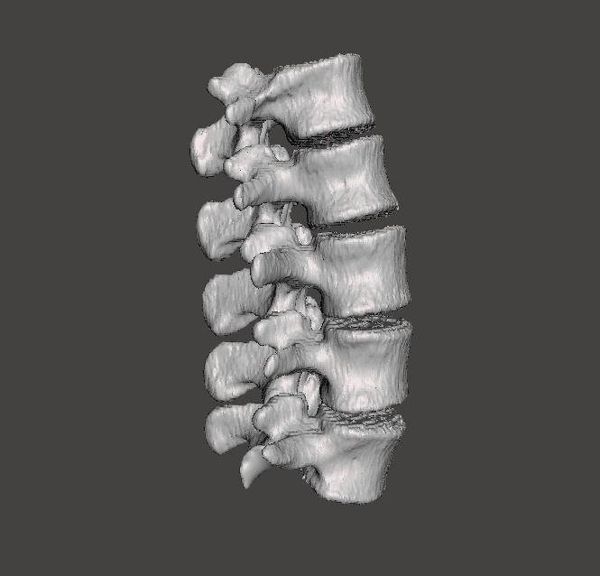 Lumbar Spine - male 3D model_3