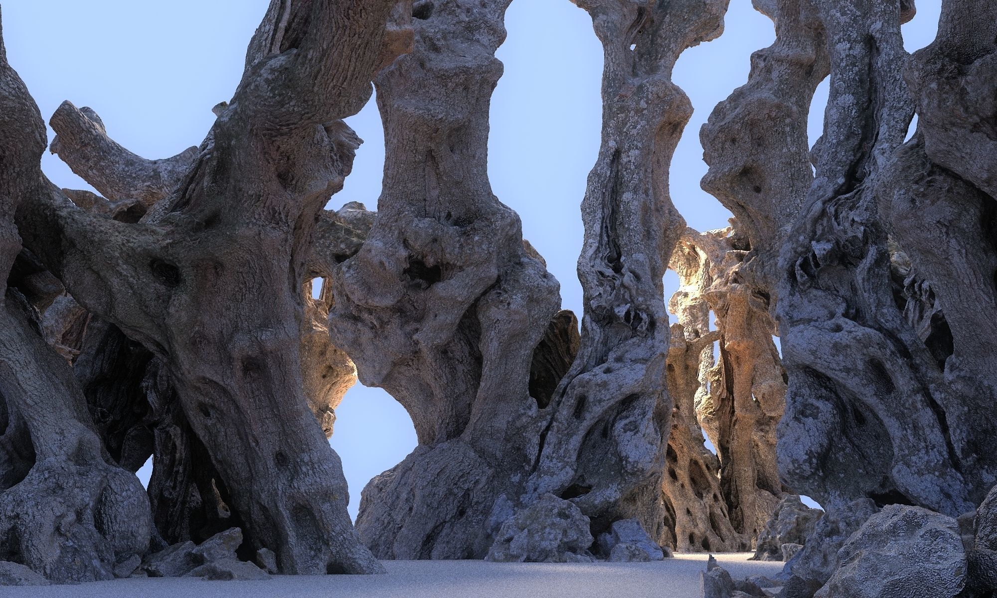 Old Forest HD Low-poly 3D model_8