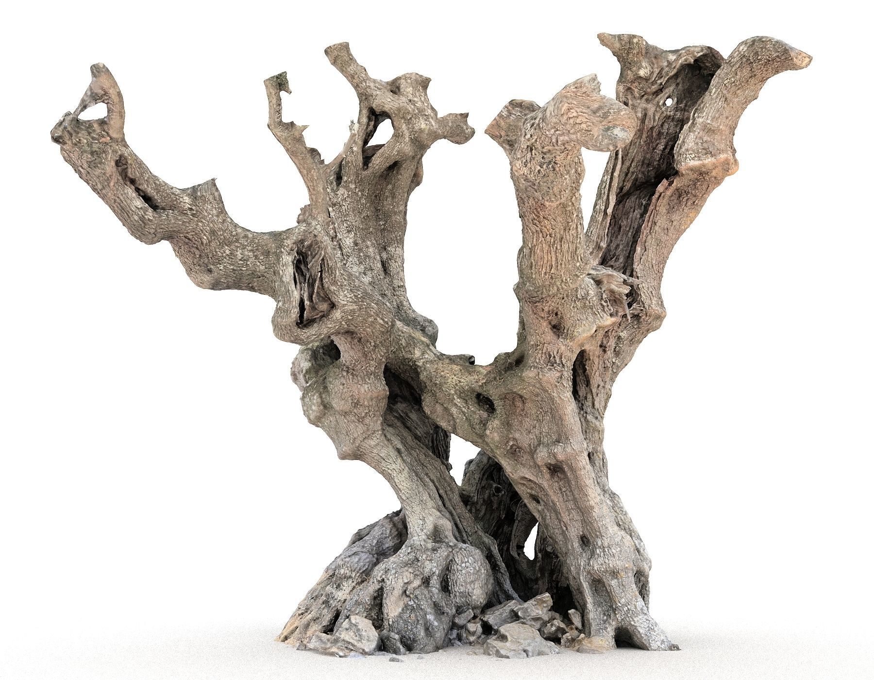 Old Forest HD Low-poly 3D model_4