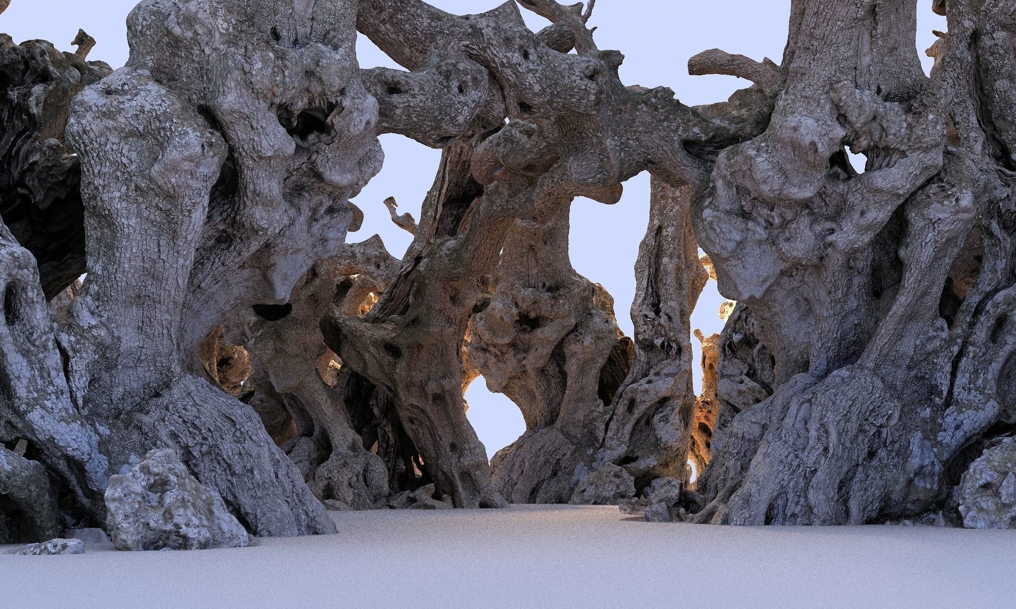 Old Forest HD Low-poly 3D model_9