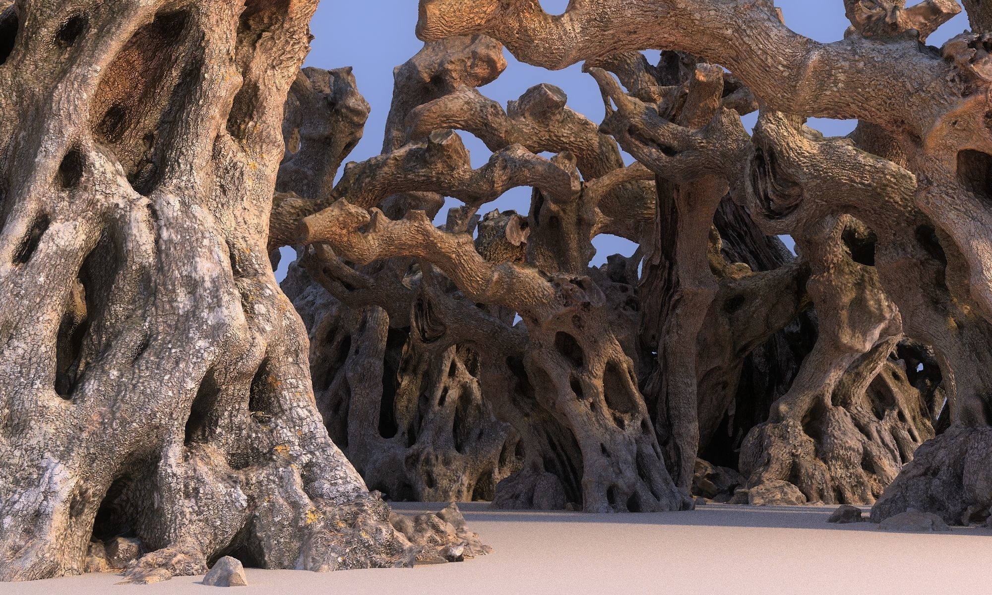 Old Forest HD Low-poly 3D model_1