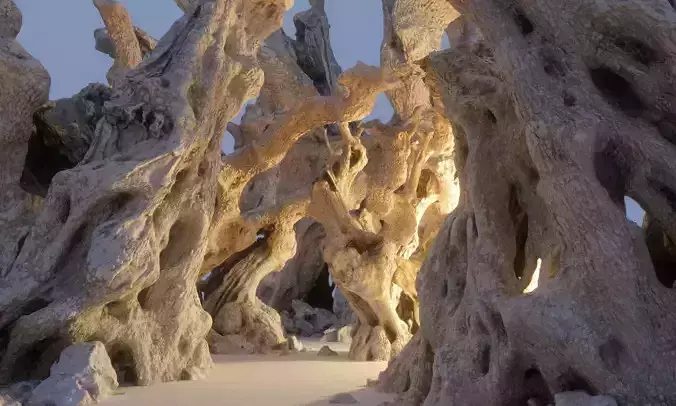 Old Forest HD Low-poly 3D model