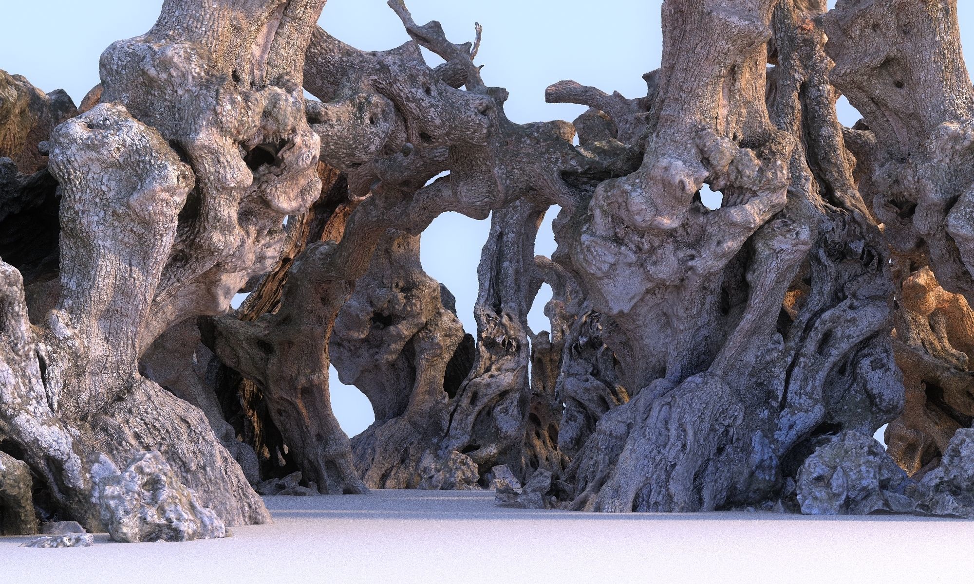 Old Forest HD Low-poly 3D model_2