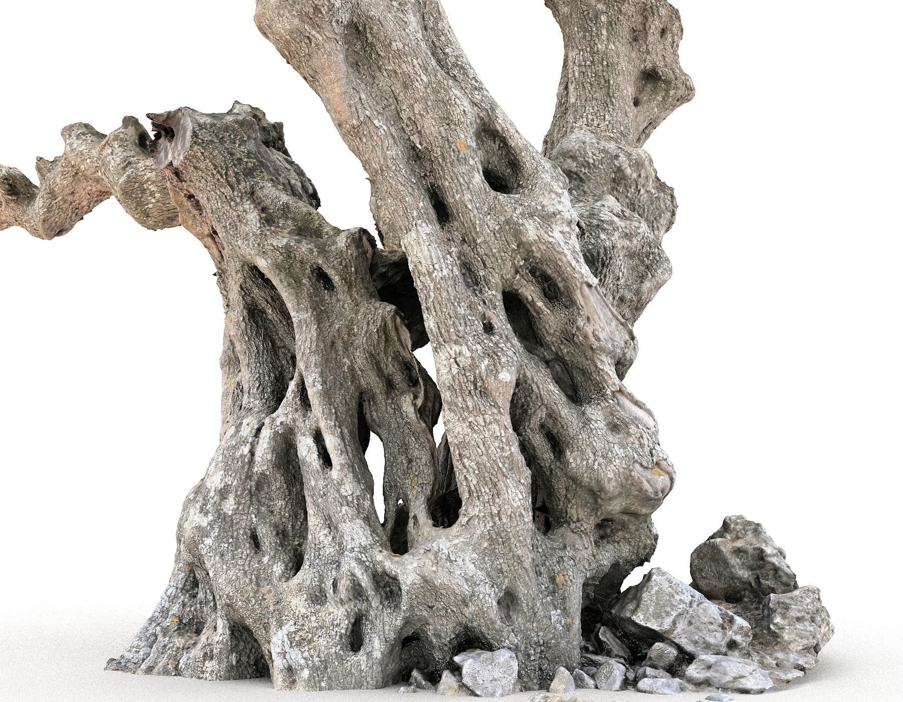 Old Forest HD Low-poly 3D model_14