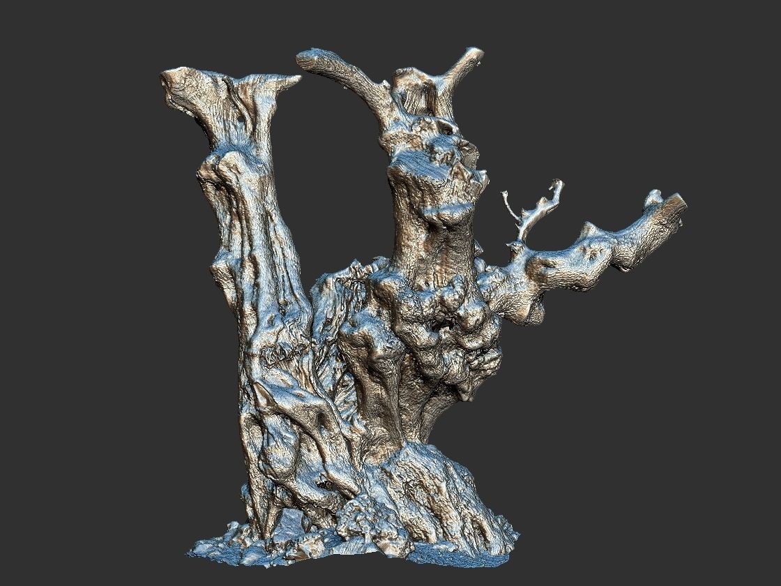 Old Forest HD Low-poly 3D model_16