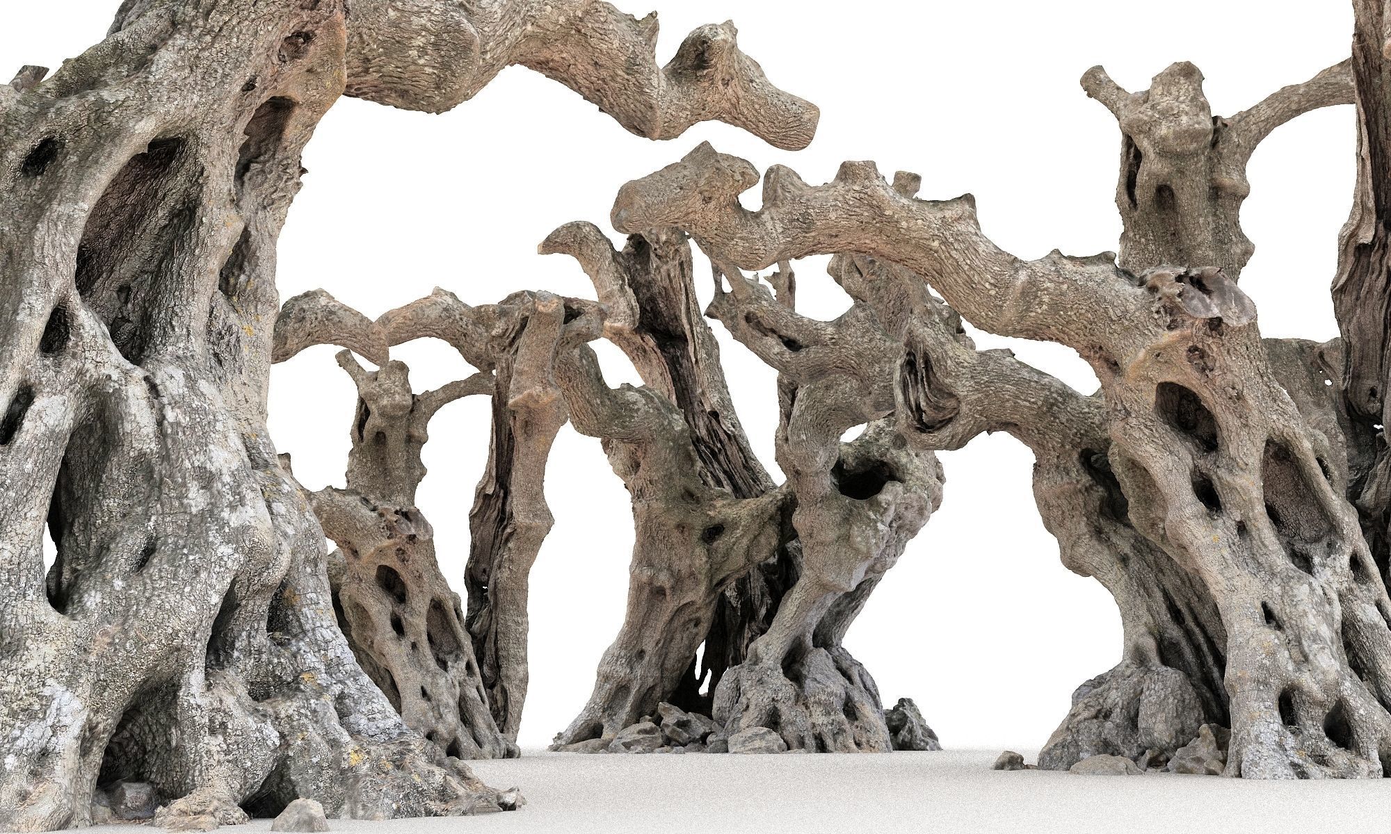 Old Forest HD Low-poly 3D model_3