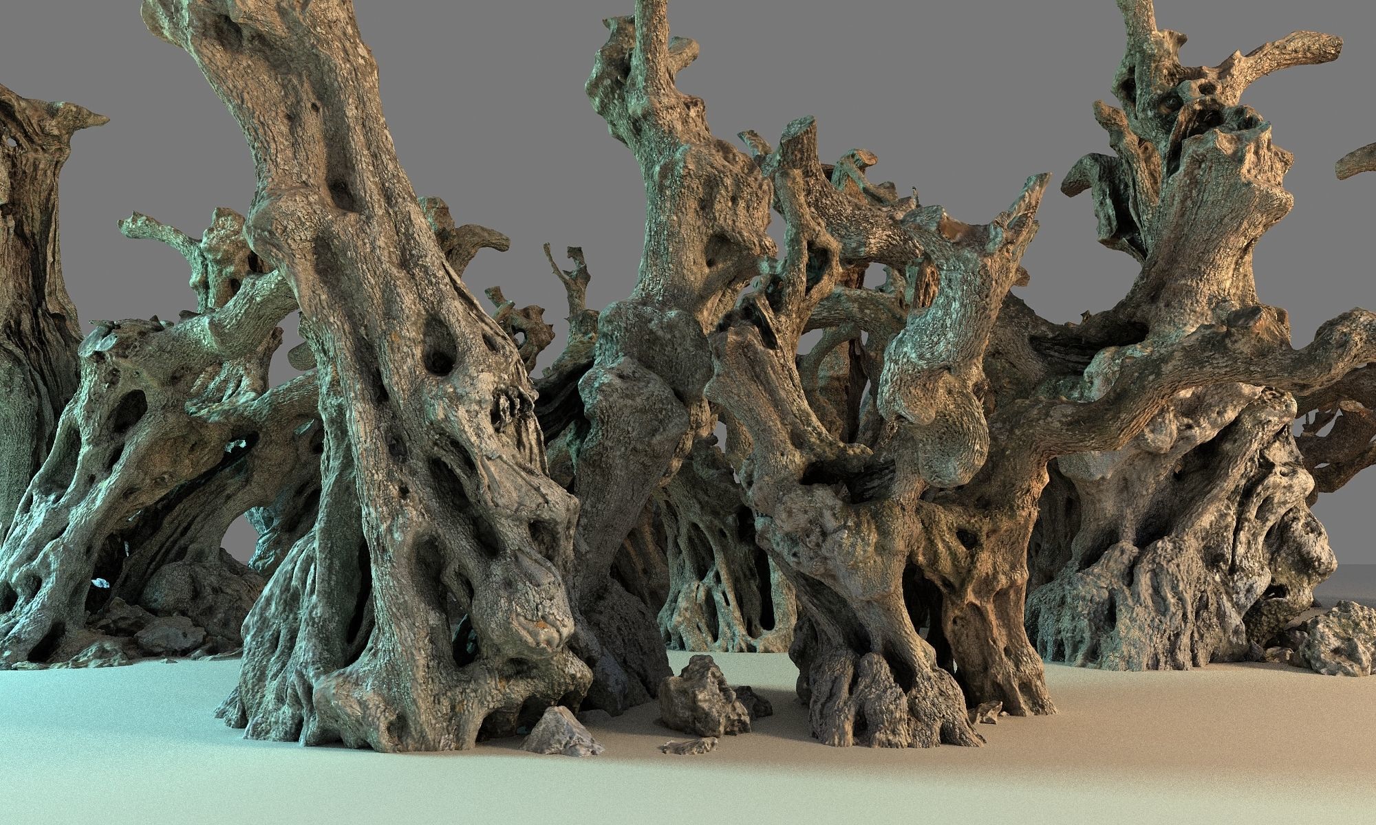 Old Forest HD Low-poly 3D model_7