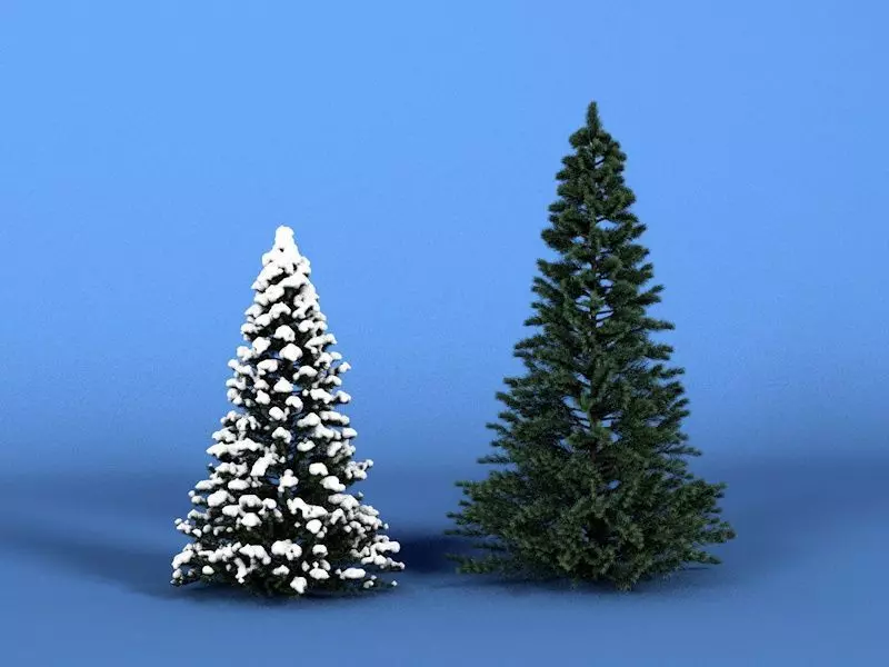 Christmas Tree Free Models  Free 3D model_0
