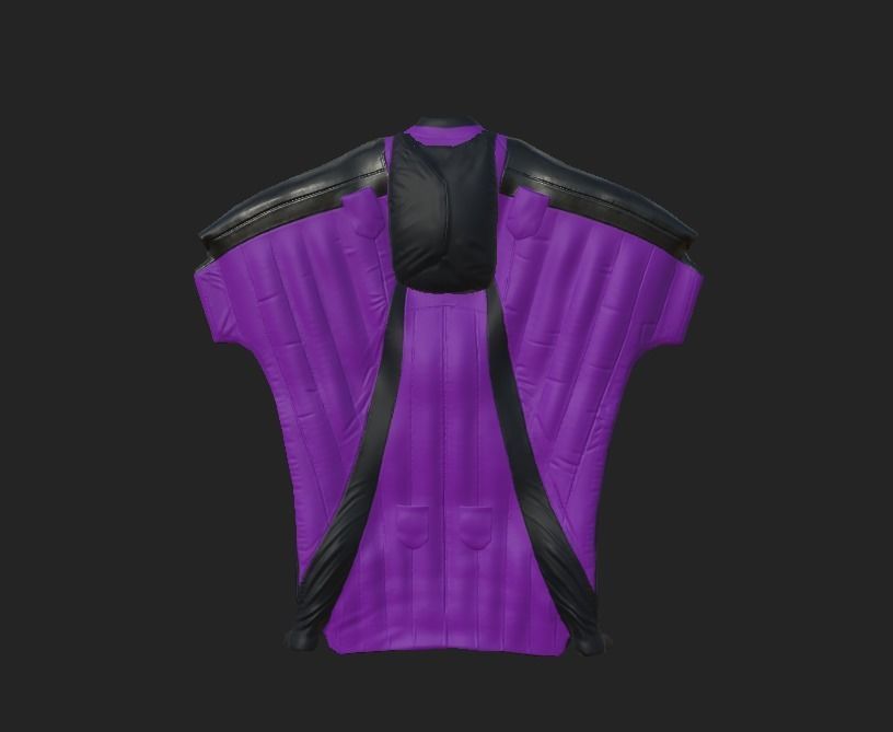 Wingsuit 1 Free 3D model