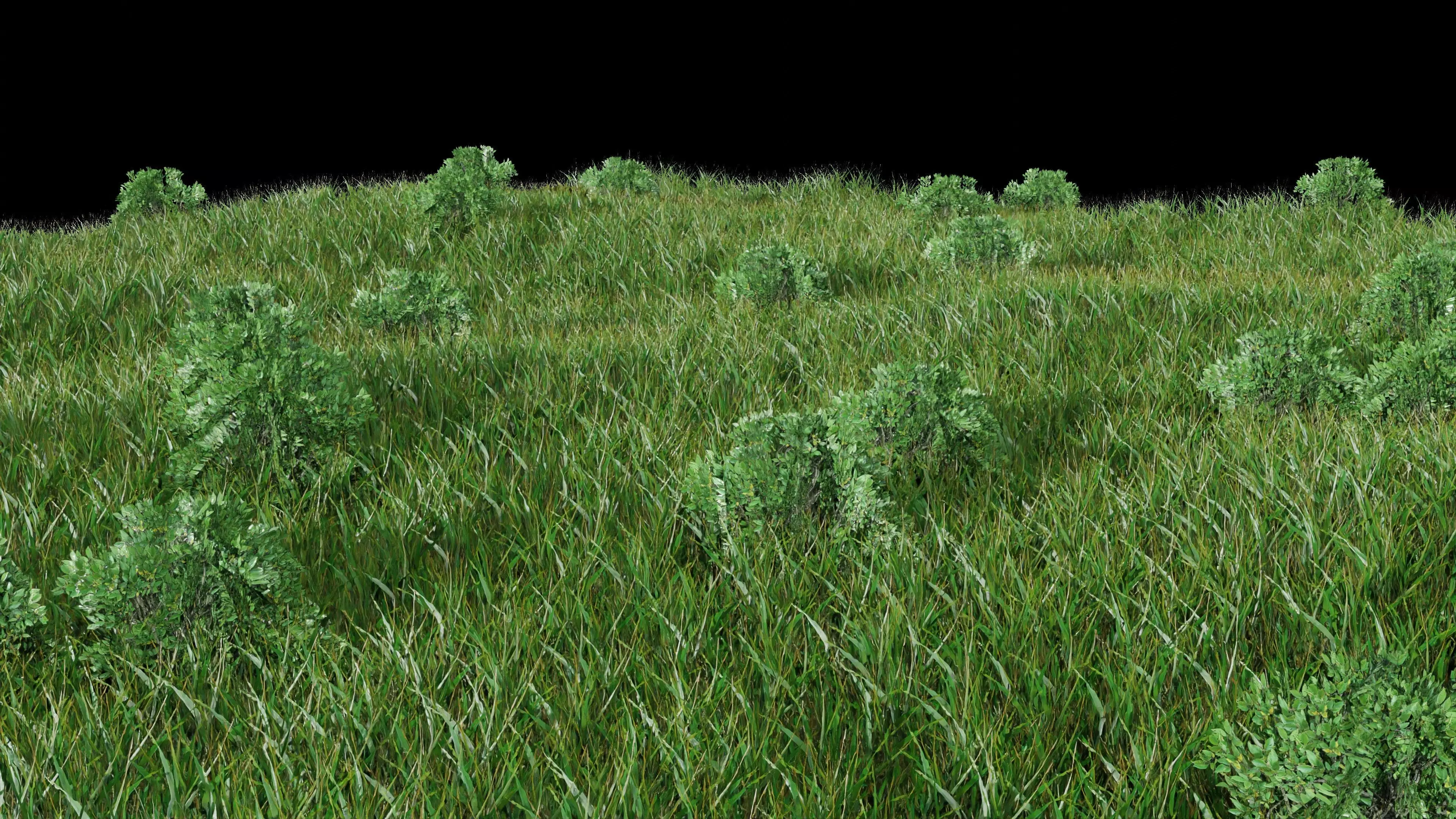 Grass grassy field with trees 3D model_0