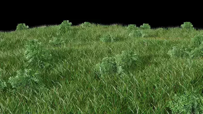 Grass grassy field with trees