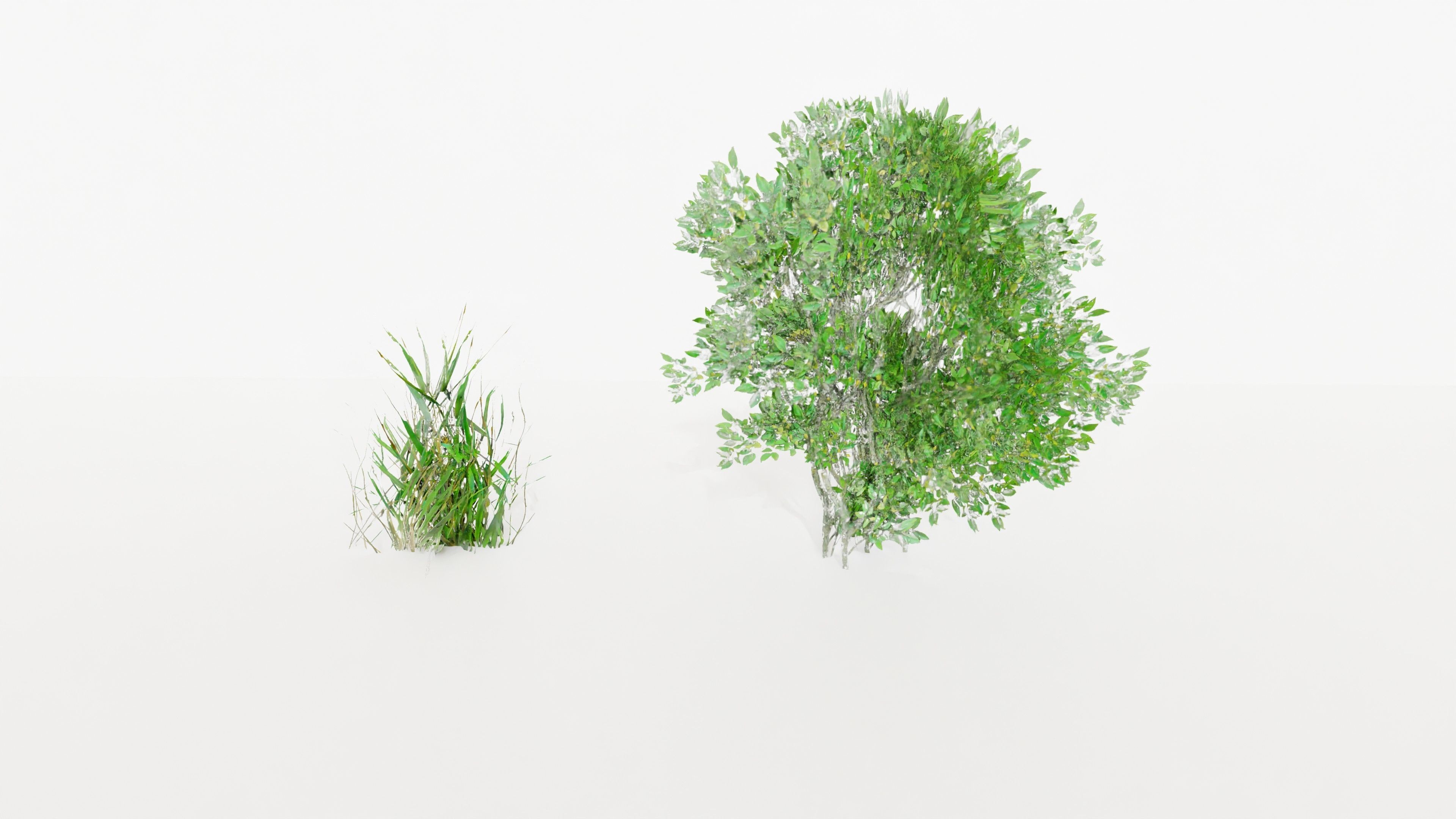 Grass grassy field with trees 3D model_1