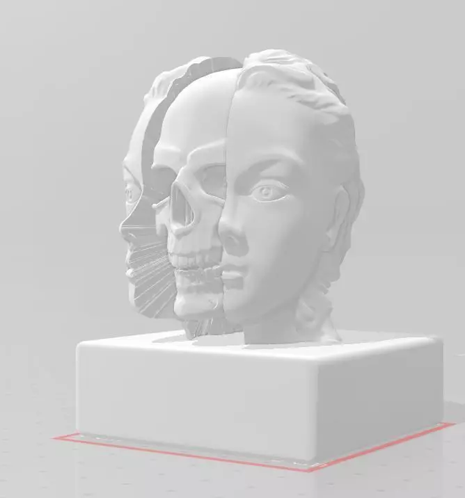 3D Print bust of woman with skull on top 3D print model