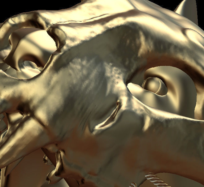 Tiger head 3D model_5