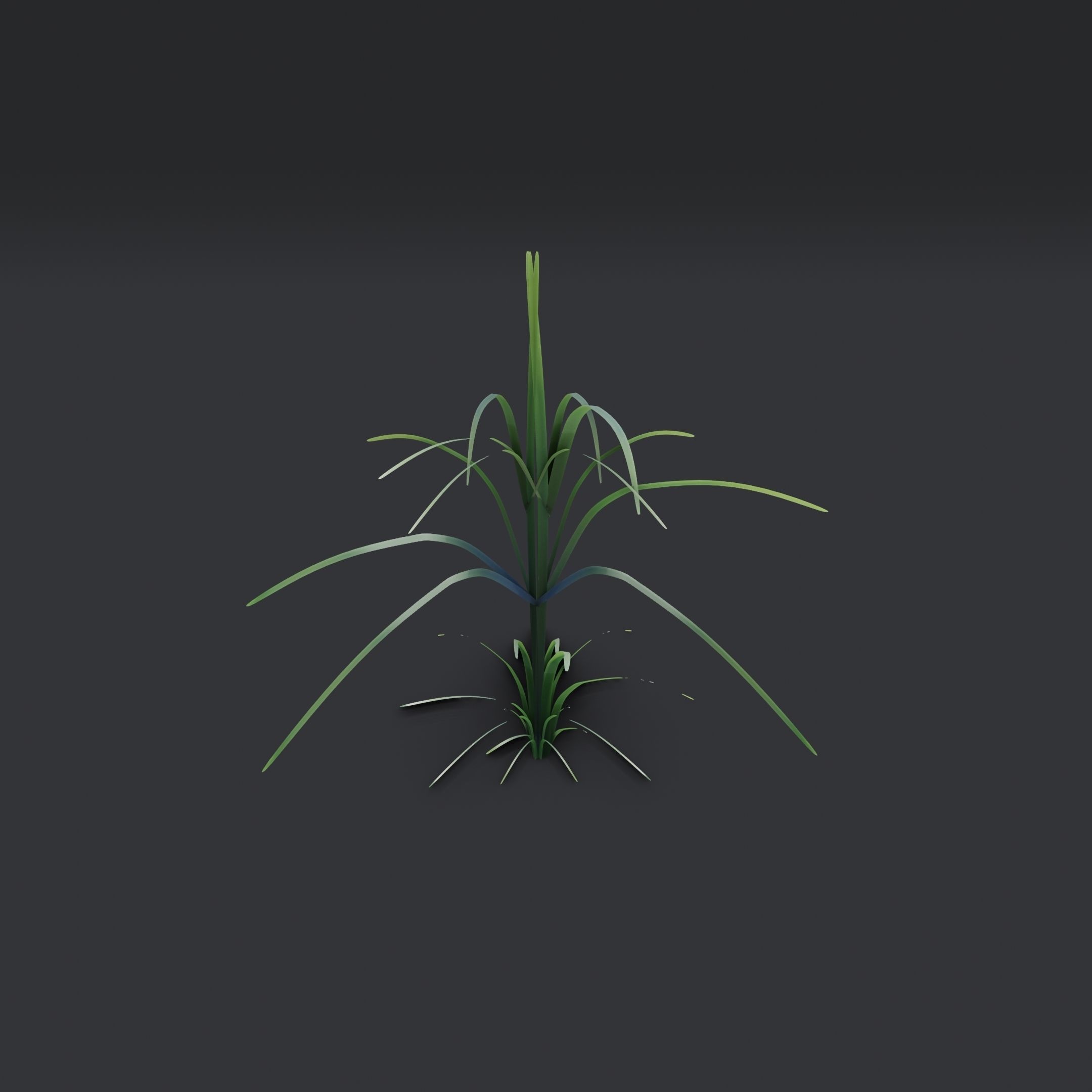 Lowpoly Simple Grass Low-poly 3D model_9