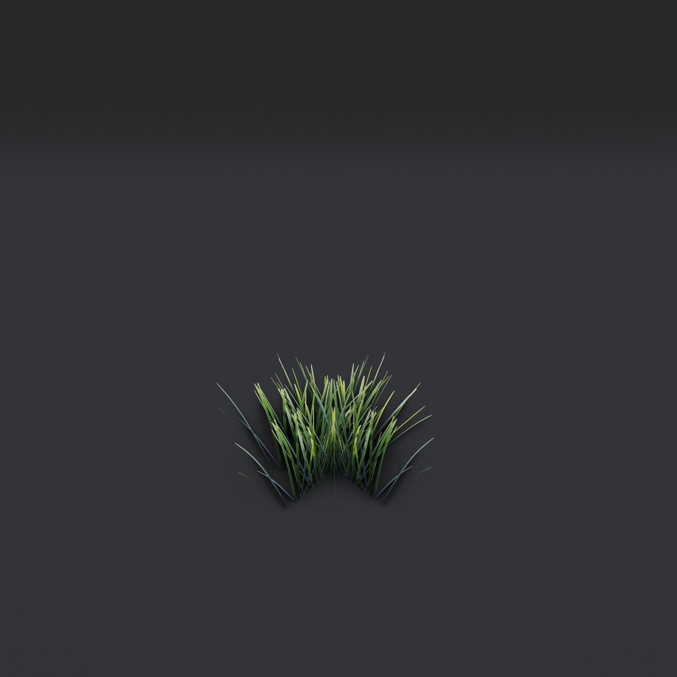 Lowpoly Simple Grass Low-poly 3D model_2