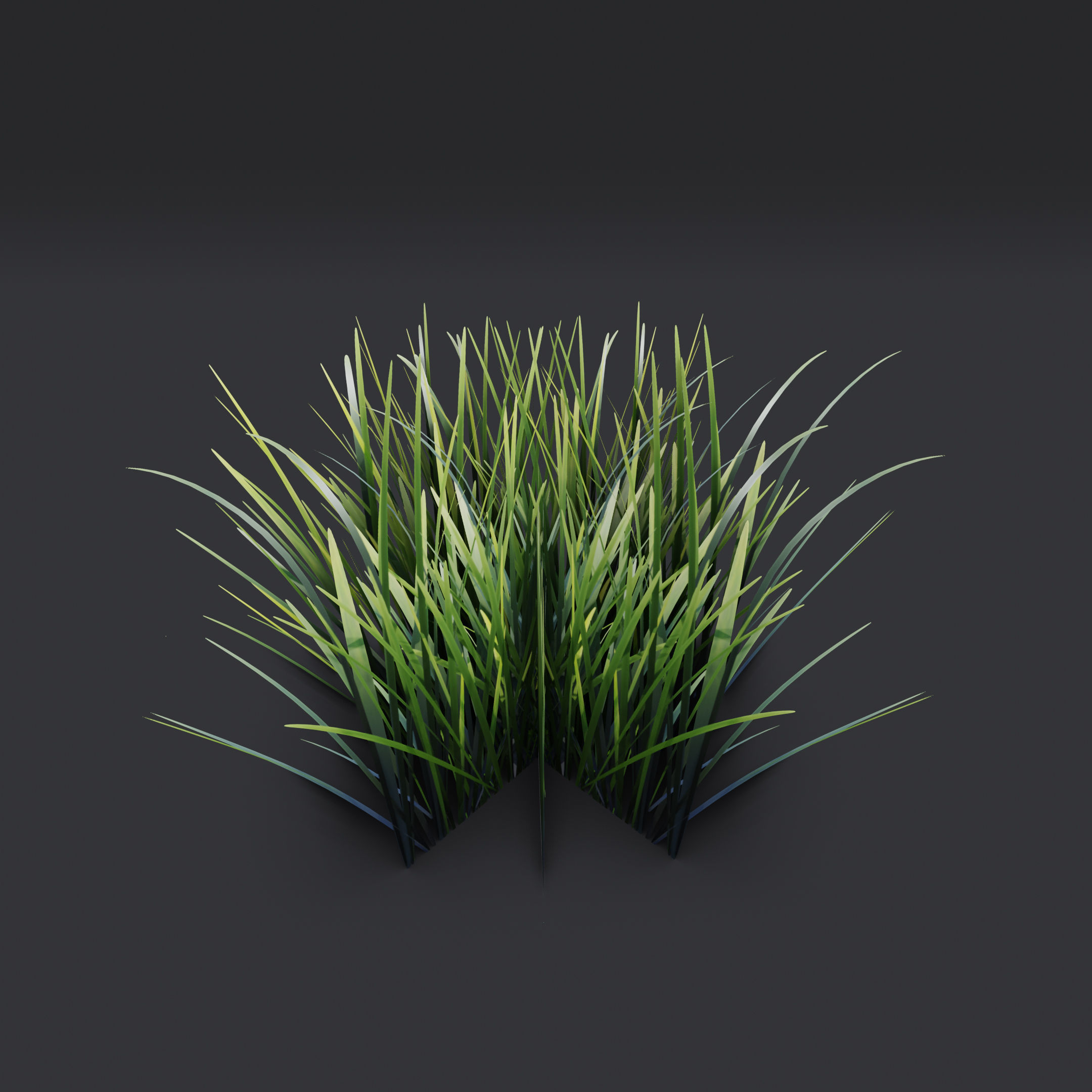 Lowpoly Simple Grass Low-poly 3D model_5