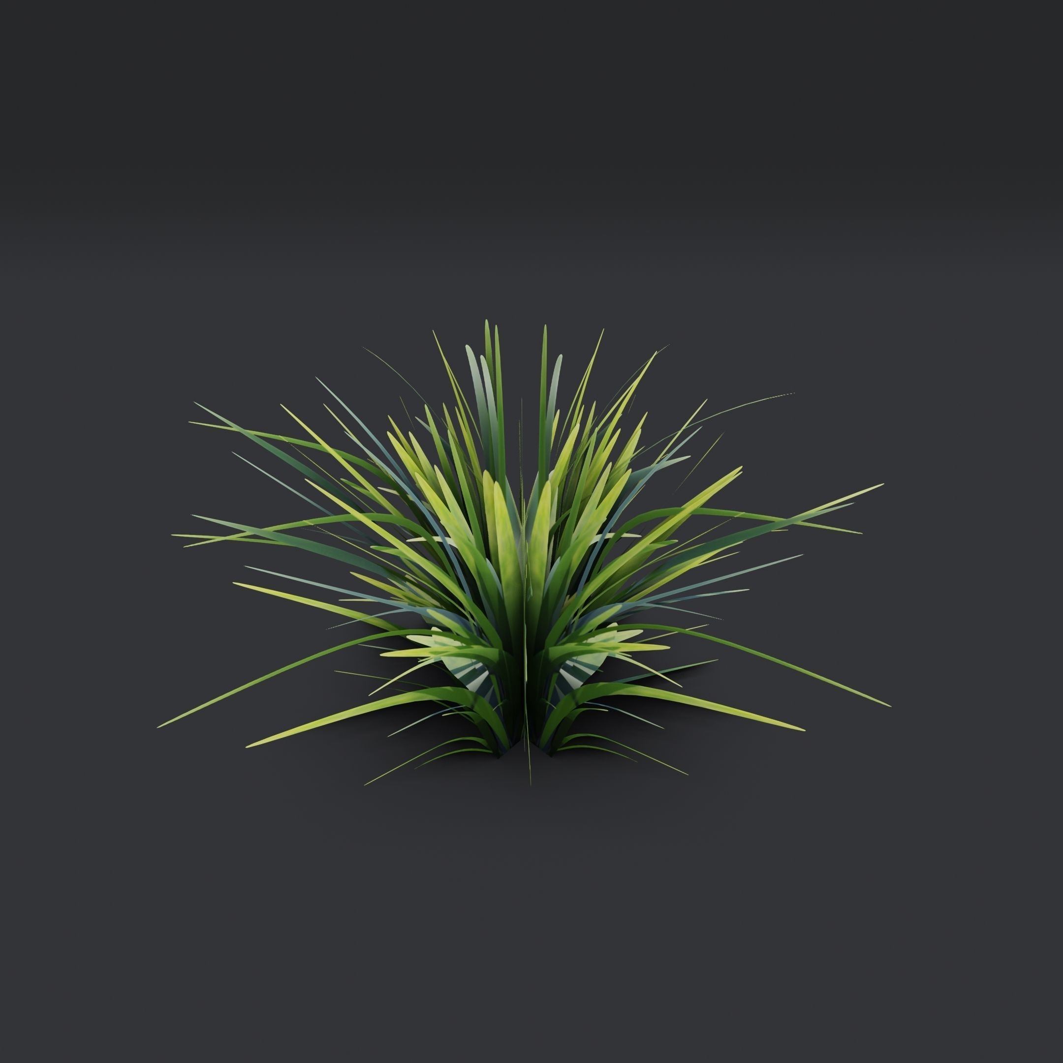 Lowpoly Simple Grass Low-poly 3D model_8